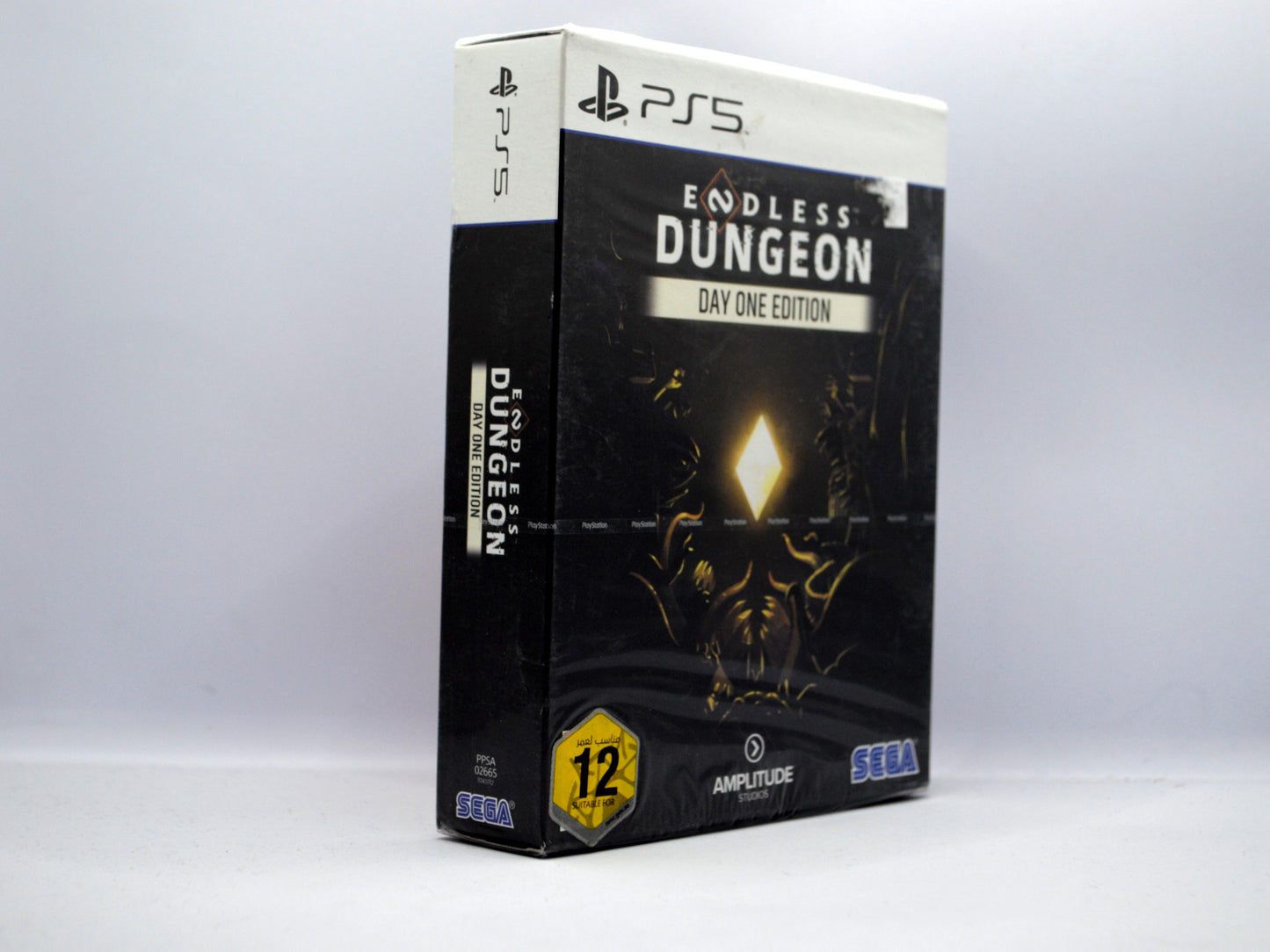 PS5 - Endless Dungeon Day One Edition (Big Box)