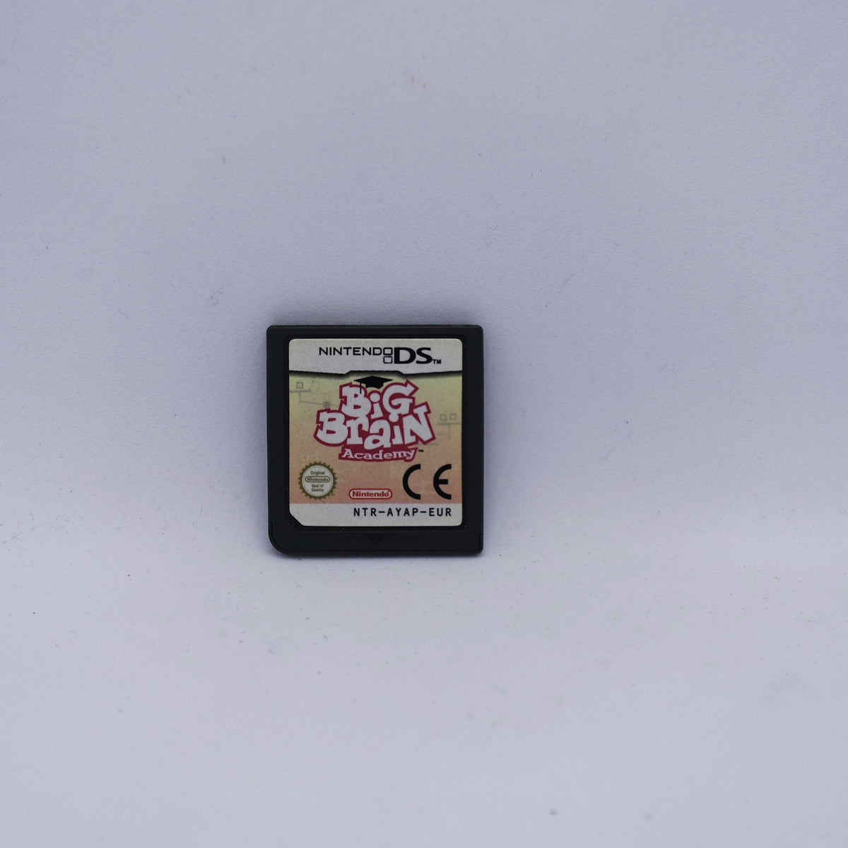 Nintendo DS - Big Brain